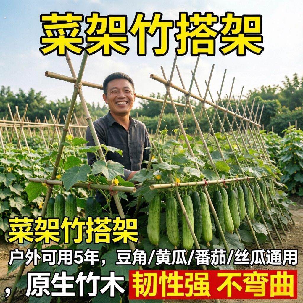 竹竿菜园搭架竹子户外辣椒杆黄瓜豆角爬藤菜架竹杆支架豇豆搭架杆