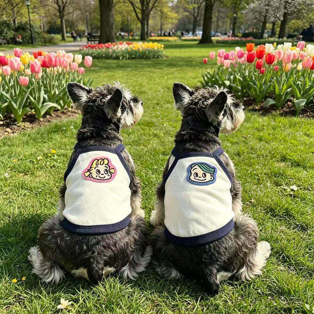 夏天狗狗衣服中小型犬薄款吊带西高地博美雪纳瑞2026新款可爱衣服图片