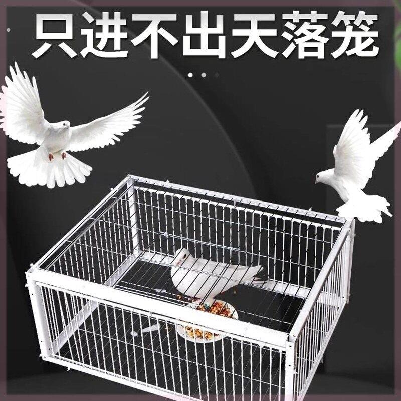 神器鸽子笼天落祇进不出户外捕全自动撞门加密收鸟笼用新款网