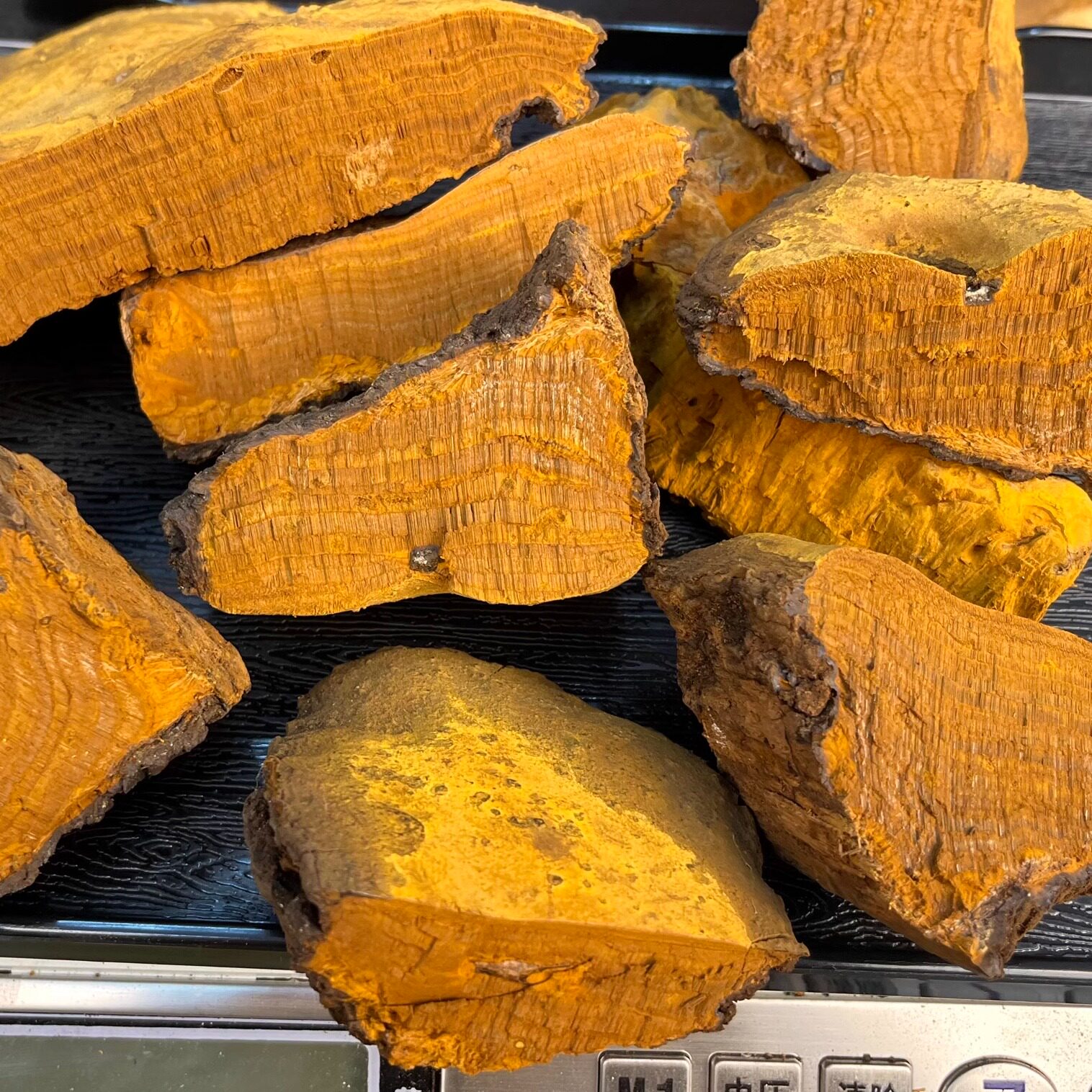 正宗野生西藏桑树桑黄泡酒滋补佳品可搭配灵芝煮水泡酒