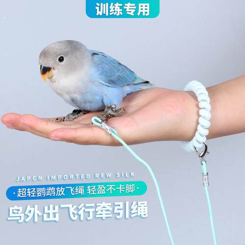 虎皮鹦鹉超轻放飞任意遛鸟神器虎皮牡丹玄凤不伤牵引脚炼牵引绳