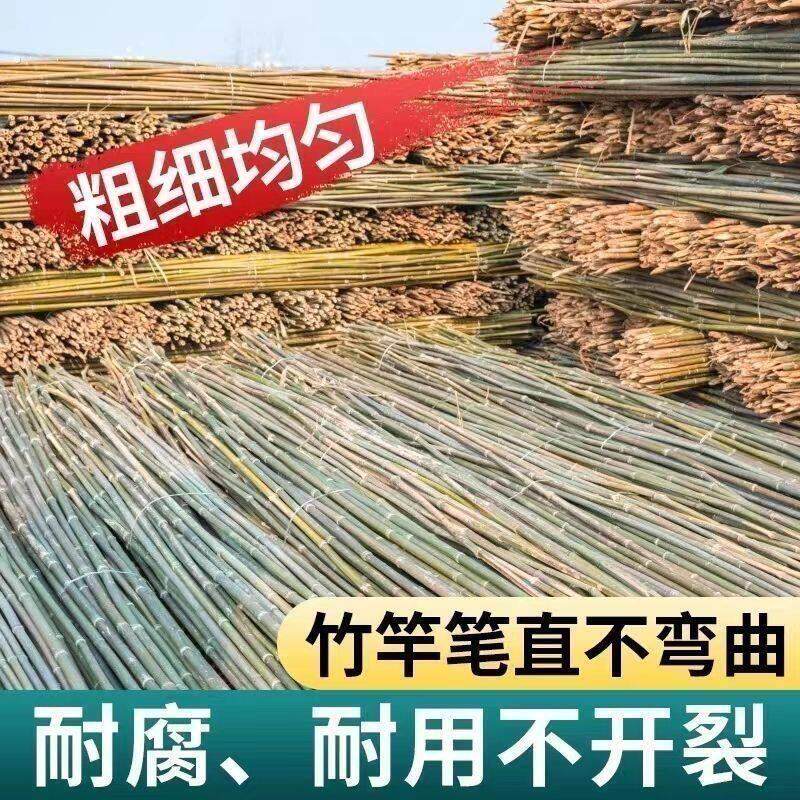 竹杆菜园搭架杆豆角黄瓜西红柿支架杆辣椒架子超硬植物爬藤旗杆