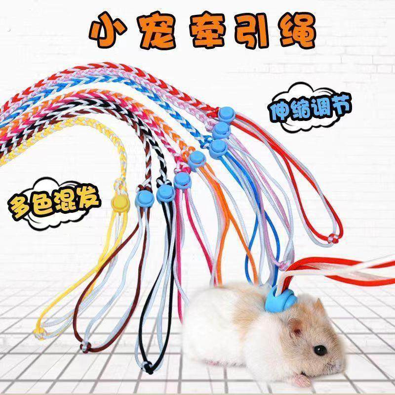 可伸缩抱婴袋式绳子仓鼠牵引绳溜鼠绳溜兔子绳鸭子荷兰猪小宠物用,宠物/宠物食品及用品,兔绳,淘宝优惠券,粉丝福利购,淘宝优惠卷