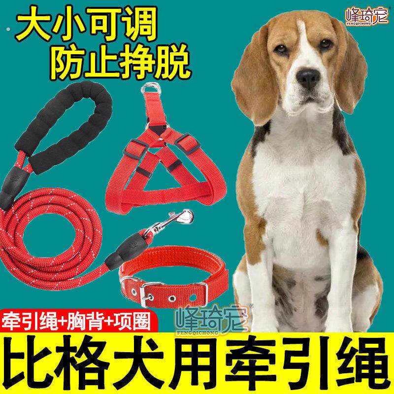 比格犬专用狗狗牵引绳子项圈胸背心式可调节狗炼遛狗绳小型犬幼犬