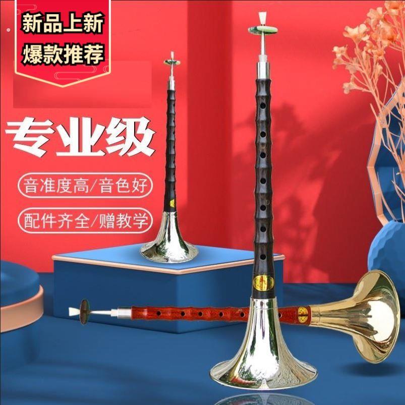 唢呐乐器初学者大全吹奏类适合男生的吹中国传统锁啦钠喇叭江西碗
