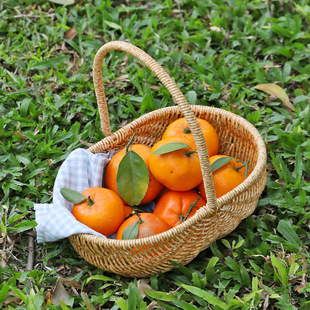 Kens创意西瓜提篮仿藤编购物篮买菜篮子水果筐采摘篮户外野餐