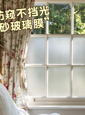 磨砂窗户玻璃门贴纸厕所贴隐私膜