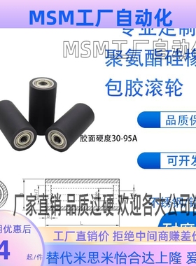 RORHA 20/25/30-20/25/30/40/50聚氨酯包胶滚轮