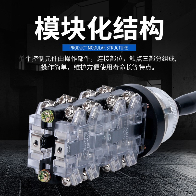 十字摇杆开关 HKA1-41(LSS1-41) 四向自锁 8常开 30mm