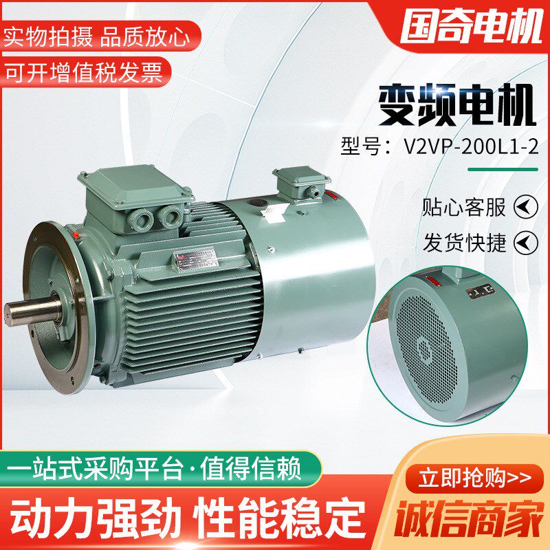 变频电机V2VP-200L1-2立式卧式30KW变频调速电机纯铜电机