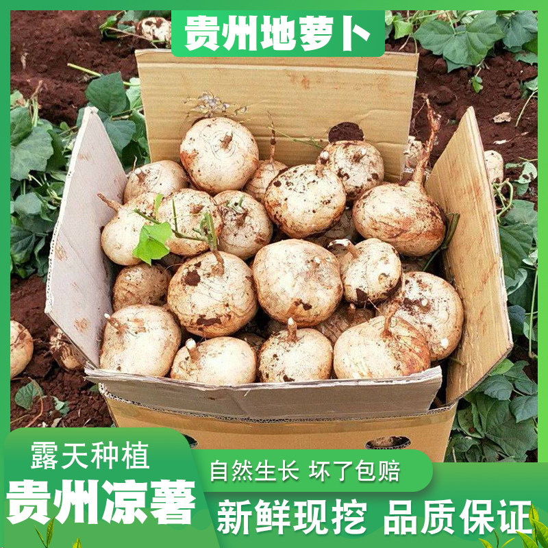贵州新鲜现挖地萝卜凉薯