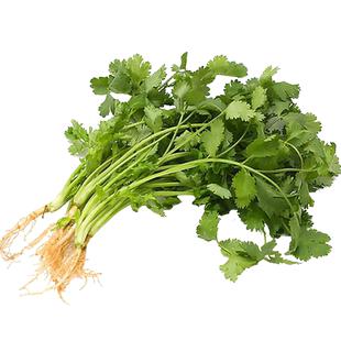 秋冬季菜种籽大全农家蔬菜种子阳台盆栽四季播小葱香菜菠菜生菜孑