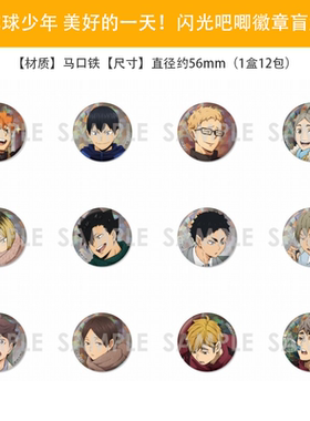 限购5/ 排球少年One Fine Day 新秋冬闪吧唧徽章盲盒 周边谷现货