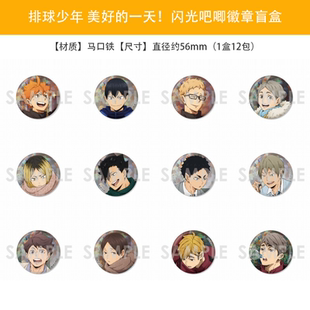 新秋冬闪吧唧徽章盲盒 限购5 Day Fine 周边谷现货 排球少年One