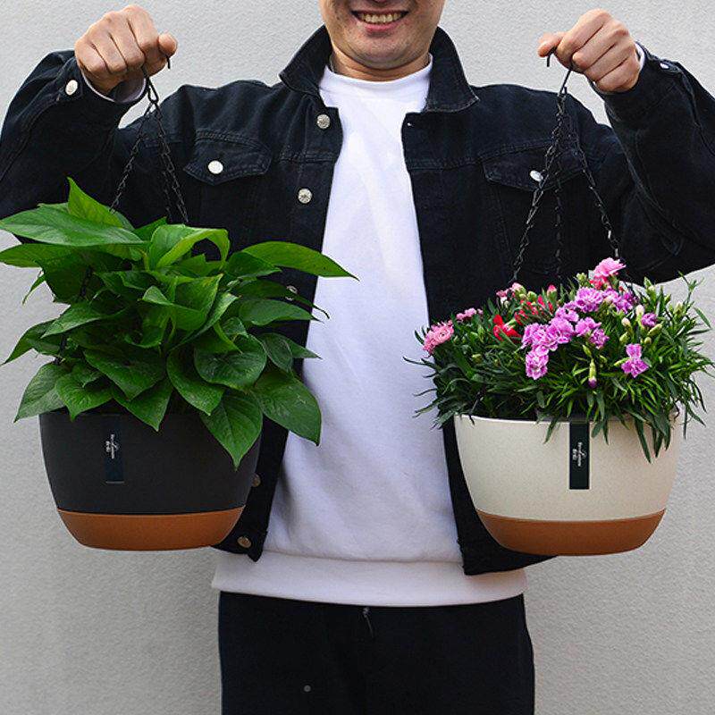 吊吊兰物花盆篮悬式专用垂吊植球兰矮牵牛霸王蕨吊兰花盆卷叶牡挂