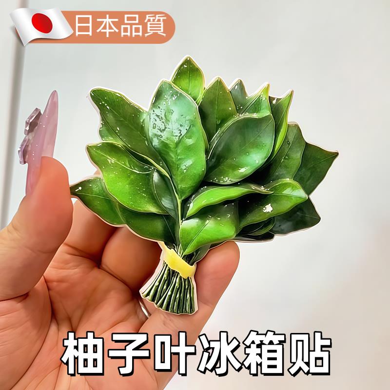 今天给冰箱去去晦气！柚子叶冰箱贴磁吸小众礼物冰箱装饰2025新款