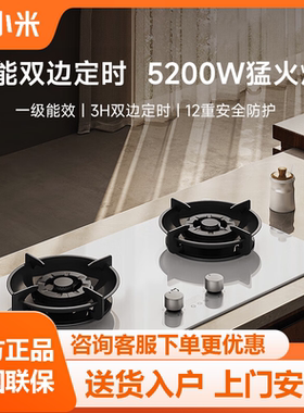 [白色新品]小米米家智能定时燃气灶S2家用液化气双灶天然气煤气灶