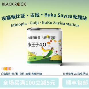 小王子4.0 Sayisa处理站 浅烘手冲咖啡豆 埃塞Buku 黑石童话系列