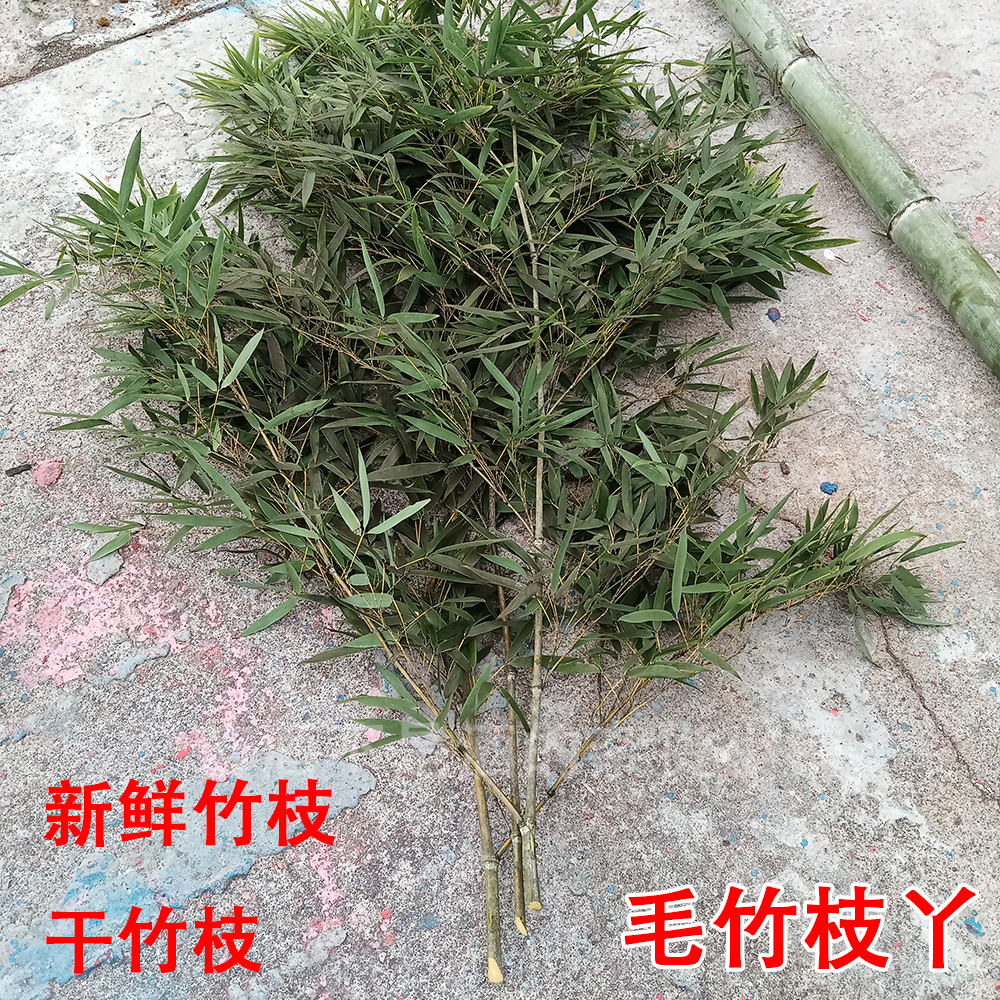 毛竹枝条蔬菜攀爬搭架竹丫干竹枝饭店庭院竹篱笆装饰diy手工材料
