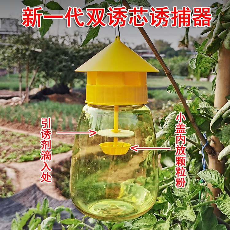 园艺果蝇引诱剂诱捕器瓜果实蝇针蜂果园菜地果蝇引诱剂内含捕抓器