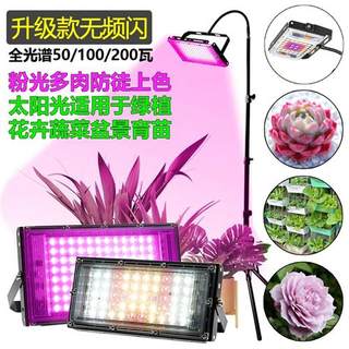 太阳光led植物补光生长灯全光谱多肉大棚蔬菜花卉育苗110v220v