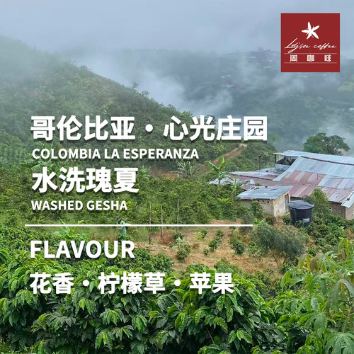 周咖啡水洗瑰夏手冲咖啡花香soe