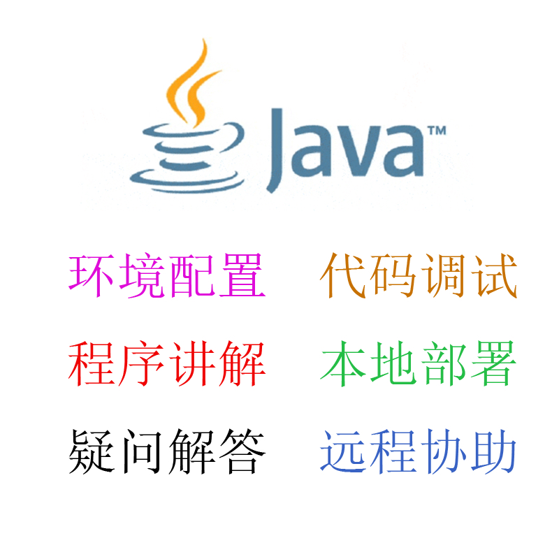 java代码调试bug问题解决修改项目运行指导程序讲解软件后端开发