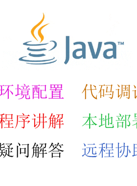 java代码调试bug问题解决修改项目运行指导程序讲解软件后端开发