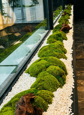 中式枯山水造景长条书房茶室禅意创意仿真植物永生苔藓过道微景观