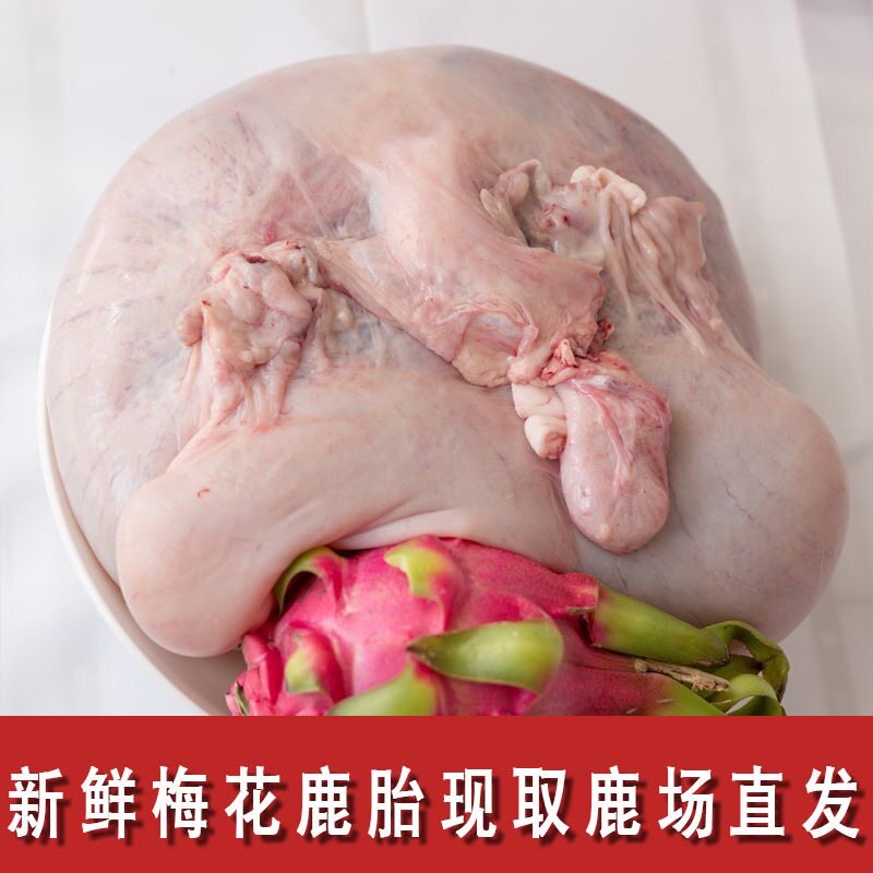 鲜鹿胎梅花鹿胎吉林整只鹿胎盘胎膏女性滋补子宫月经保真空运包邮