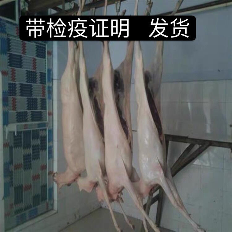 东北吉林梅花鹿肉新鲜鹿腿鹿排整只白条新鲜现杀冷链运输空运包邮