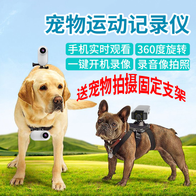 宠物记录仪运动相机猫咪狗狗拍摄视角录音录像vlog视频挂脖项圈胸前背后摄像头监控器手机远程动物拍照摄影头