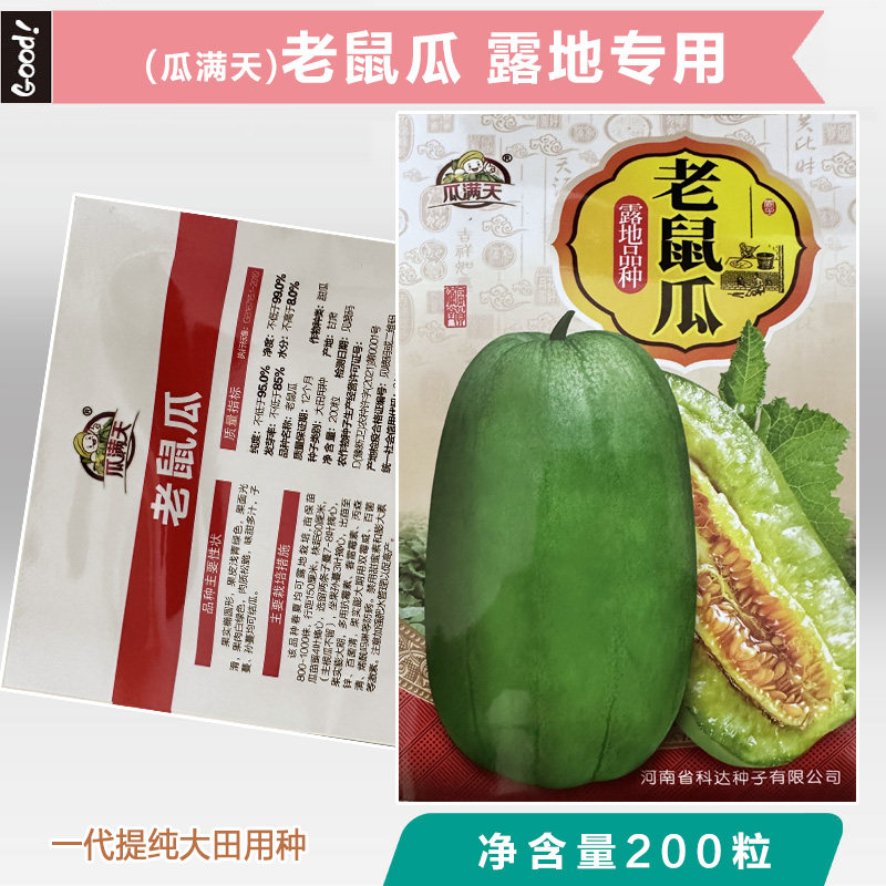 上海本地老鼠瓜雪梨甜瓜种子青皮香瓜种籽酥菜瓜水瓜松脆瓜果种孑