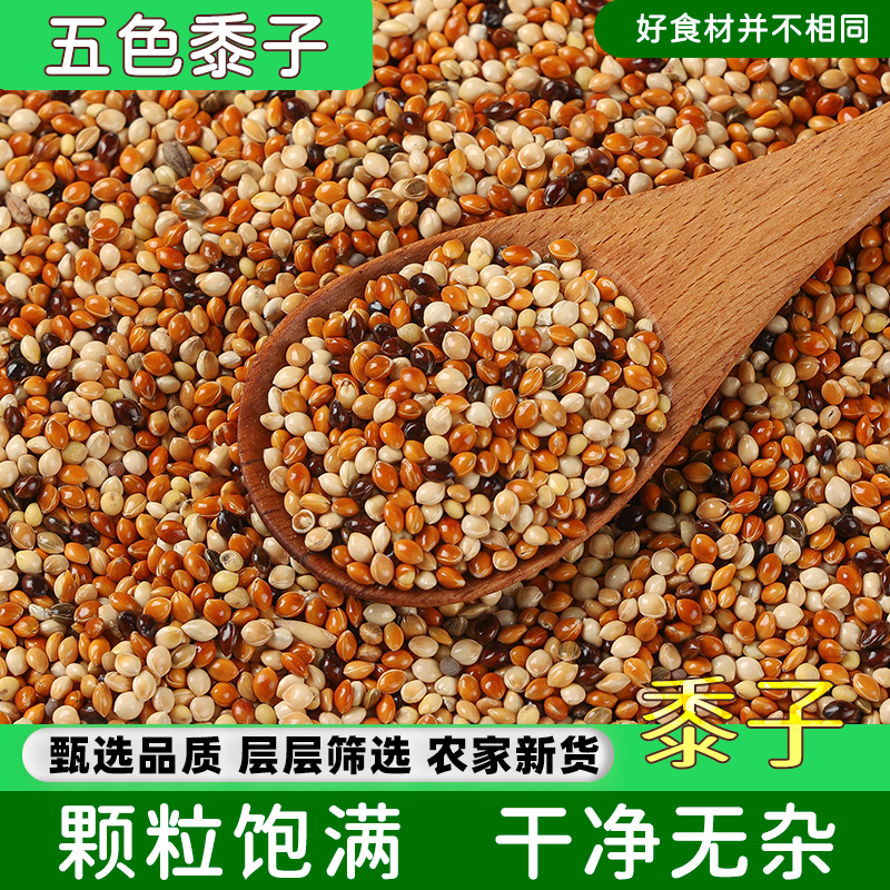 新货五色黍子农家种植鸟粮饲料