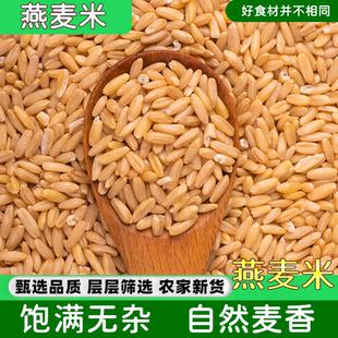 新货生燕麦米农家自产五谷杂粮裸燕麦仁粒野麦雀麦煮粥煲汤包邮
