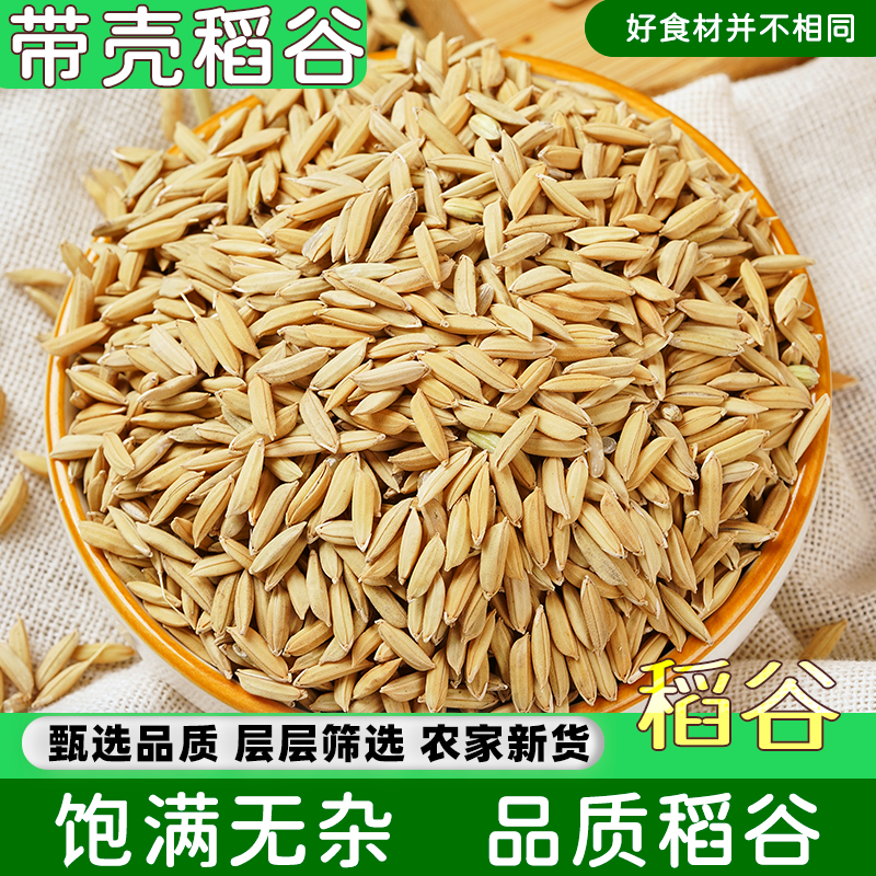 带壳大米稻谷5斤带壳谷子水稻