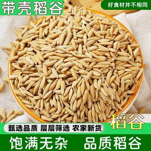 带壳大米稻谷5斤带壳谷子水稻稻子粮食喂鸡鸭鹅鸽鸟仓鼠原粮饲料