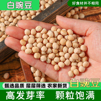 新货白豌豆农家种植发豆芽煮粥