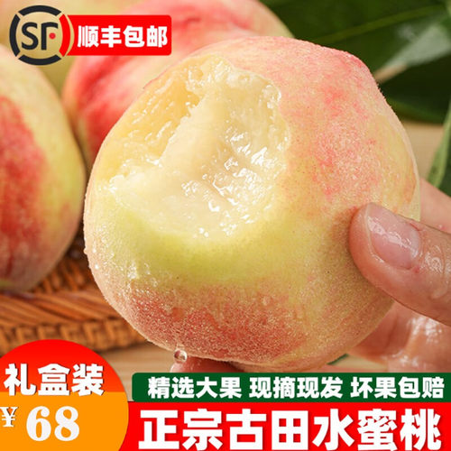 正宗古田白凤水蜜桃礼盒装
