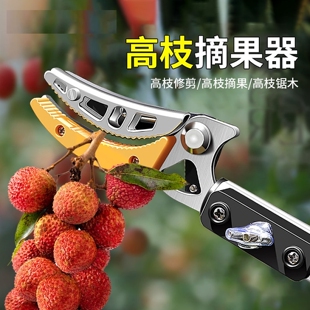 剪枝剪刀长杆摘果伸缩杆摘杨梅荔枝水果高枝剪高空采摘多功能剪刀