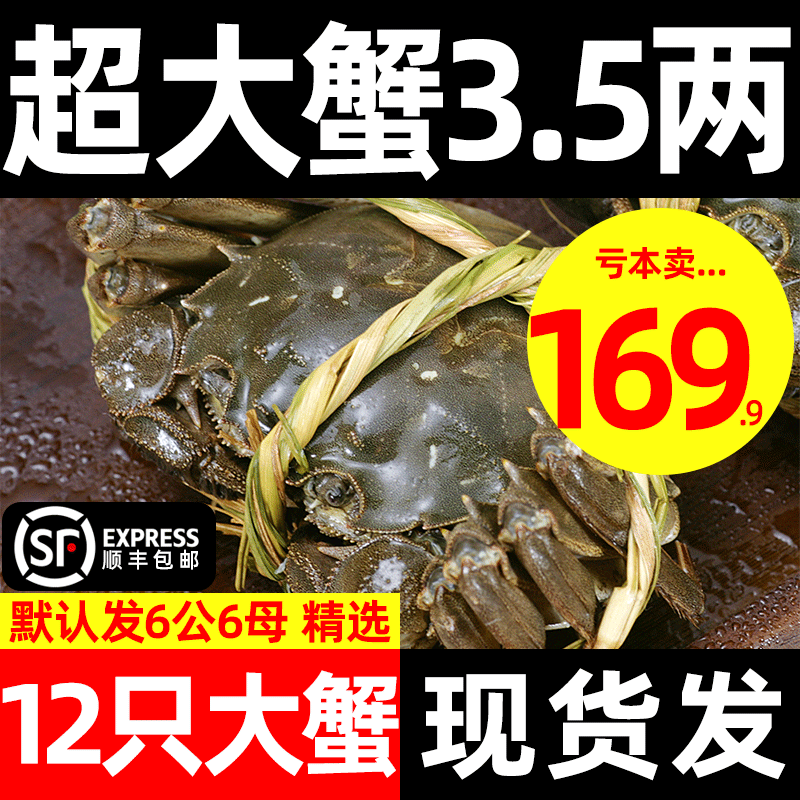 3.5两12只全母大闸蟹阳澄湖镇