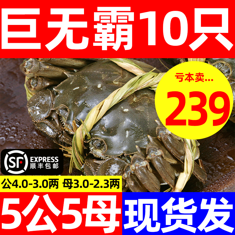 活蟹10只公母鲜活大闸蟹特大阳澄湖镇官方旗舰店河蟹海鲜水产螃蟹 水产肉类/新鲜蔬果/熟食 大闸蟹 原图主图