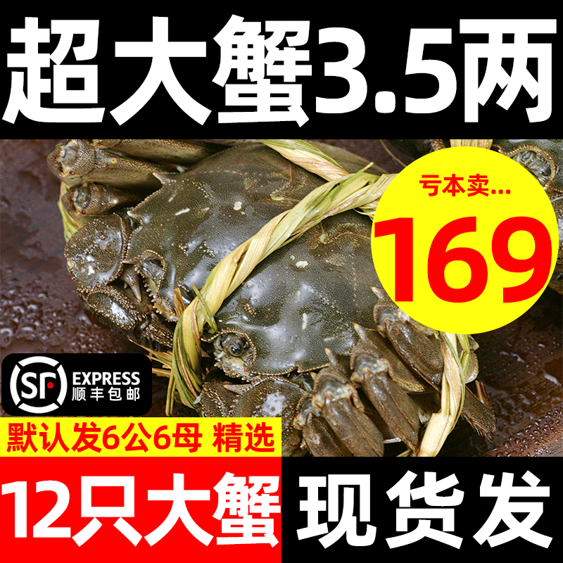 3.5两12只全母大闸蟹阳澄湖镇