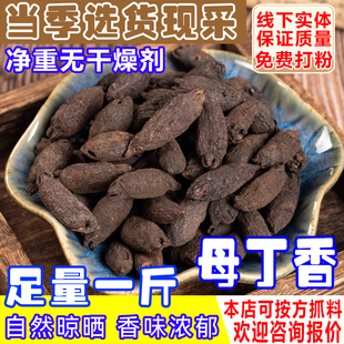 母丁香香料500g母丁香中药材鸡舌香独生雌丁香大料调料卤料批发