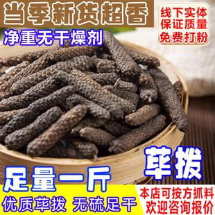 荜拨500g毕拨荜菝烧菜卤菜火锅底料香料毕波碧波荜茇筚拨大毕博