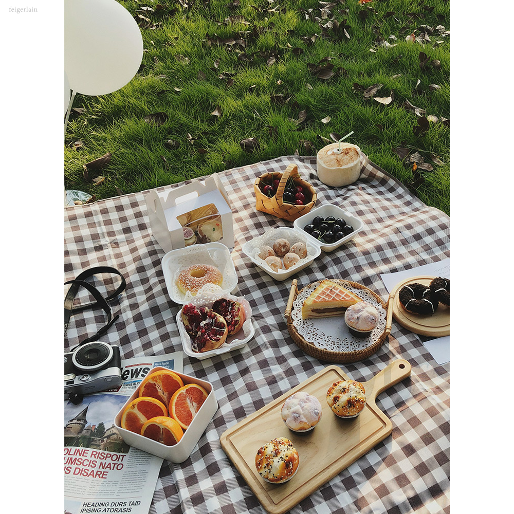 防水ins风露营野餐布户外地垫野餐垫防潮垫加厚春游草坪野炊垫子