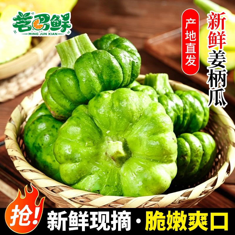 云南姜柄瓜现摘特产新鲜蔬菜包邮小南瓜小瓜当季姜饼瓜小麦瓜农家