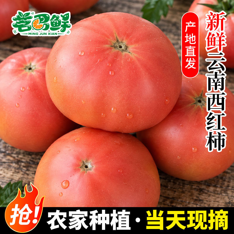 云南西红柿新鲜自然熟生吃番茄沙瓤老品种露天种植应当季蔬菜现摘
