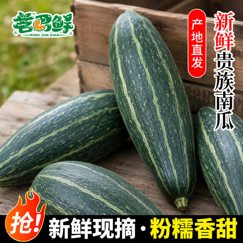 山东贵族南瓜新鲜现摘小贝贝南瓜