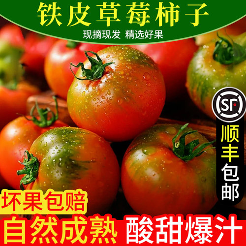正宗丹东新鲜铁皮西红柿顺丰现摘